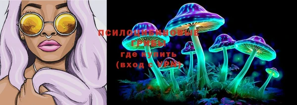 ГАЛЛЮЦИНОГЕННЫЕ ГРИБЫ Алзамай