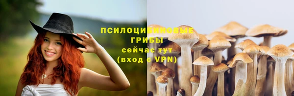 ГАЛЛЮЦИНОГЕННЫЕ ГРИБЫ Алзамай