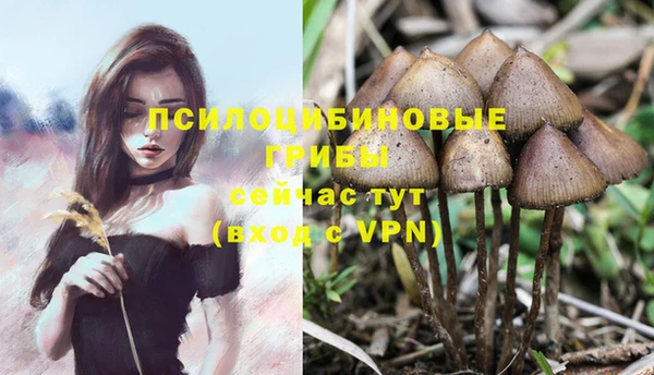гашиш Алексеевка