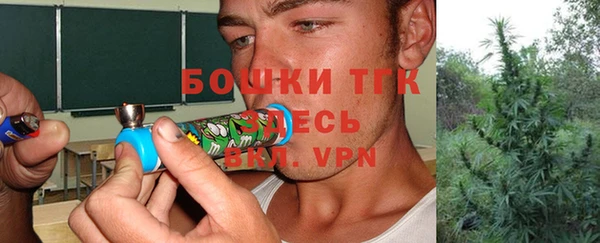 тгк Абаза