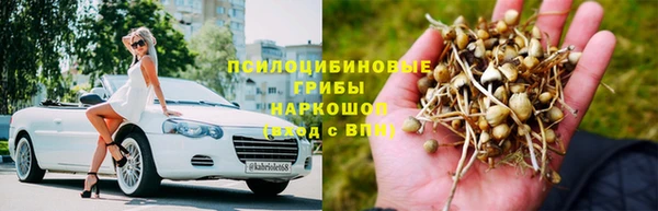 гидра Алексин