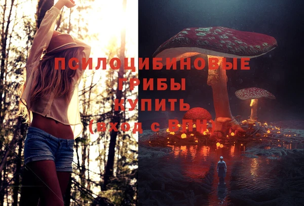 ГАЛЛЮЦИНОГЕННЫЕ ГРИБЫ Алзамай