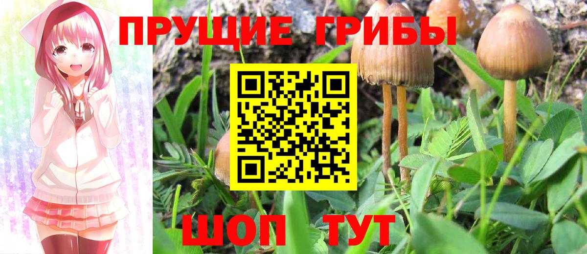 Галлюциногенные грибы ЛСД Краснокамск