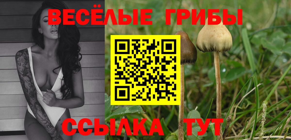 Галлюциногенные грибы MAGIC MUSHROOMS  Вход с VPN  хочу   Краснокамск 