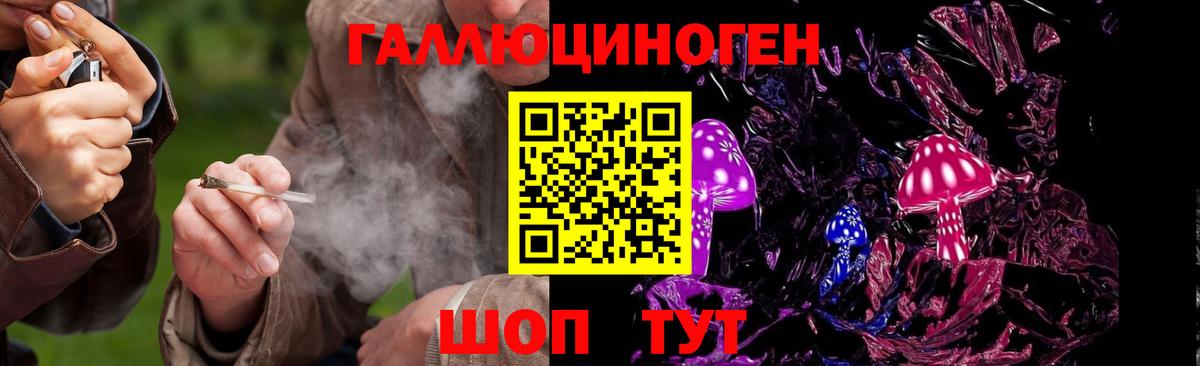 НБОМе  LSD-25  КОКАИН  Продажа наркотиков  MDMA  ГАШИШ  Гашиш  Краснокамск  А ПВП СОЛЬ   Вход с VPN  Меф МЯУ МЯУ  